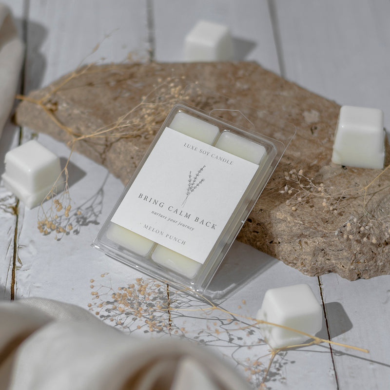 Melon Punch – Watermelon Lemonade Wax Melts